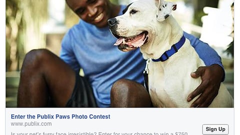 Publix Paws Photo Contest Facebook Update