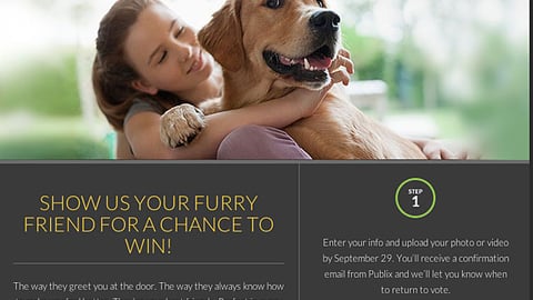 Publix Paws Photo Contest Home Page