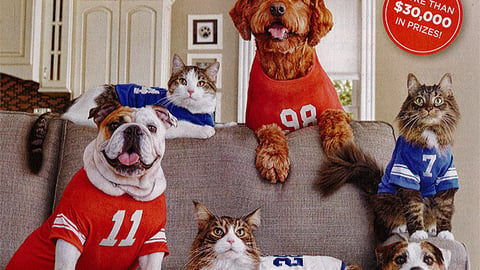 Purina 'Prize Bowl' FSI