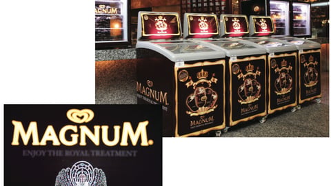 Magnum 'Royal Treatment' Freezer Cases