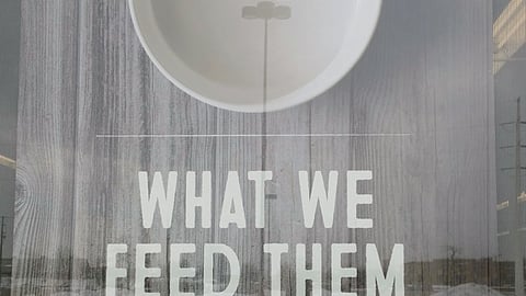 Petco 'What We Feed Them Matters' Window Poster