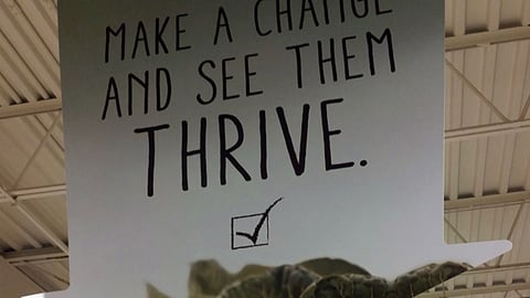 Petco 'Make a Change' Ceiling Sign