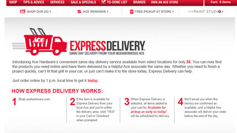 Ace Hardware 'Express Delivery' Web Page
