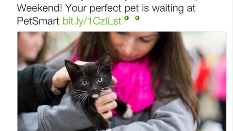 PetSmart Charities 'Be My Valentine' Tweet