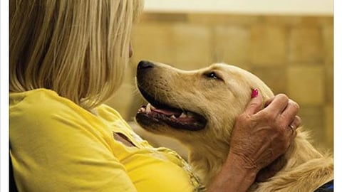 PetSmart 'Share Your Love Story' Facebook Update