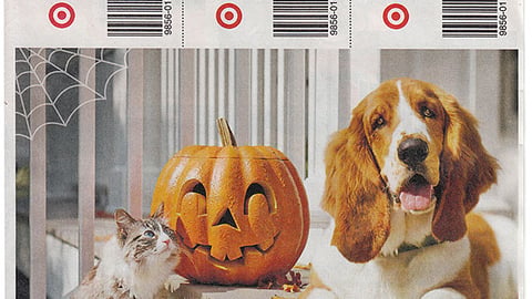 Target Purina 'The Trick' FSI