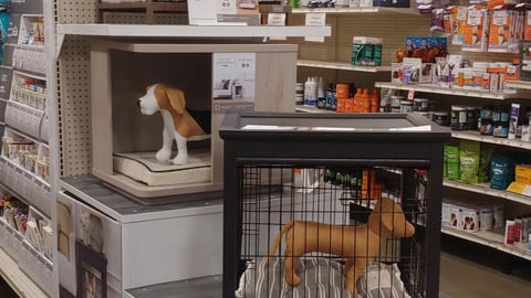 Petsmart Nate + Jeremiah Endcap Display