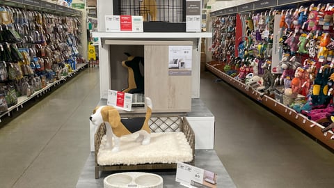 Nate + Jeremiah for PetSmart Endcap