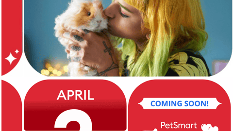 PetSmart Treats Rewards 'Coming Soon' Email