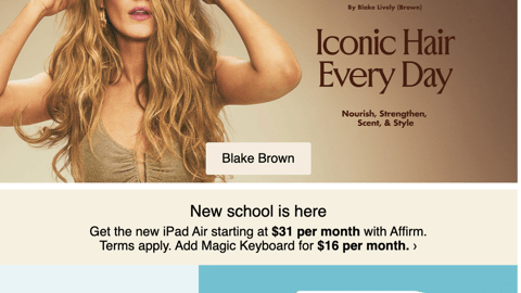 Target Blake Brown 'Iconic Hair' Email