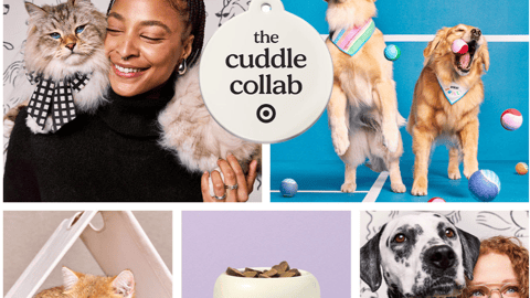 Target The Cuddle Collab Email