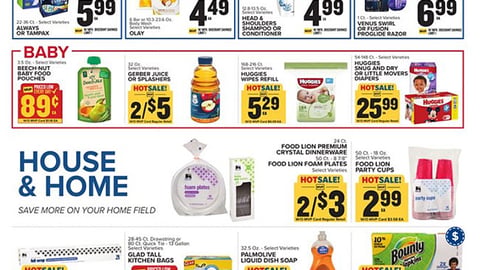 Food Lion P&G ‘In-Store Kiosk Coupon’ Feature