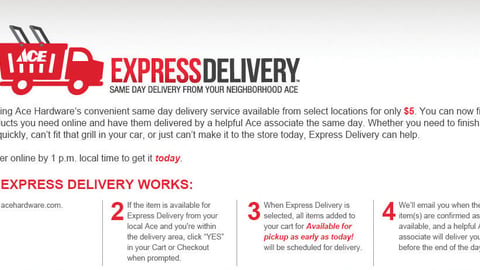 Ace Express Delivery Test