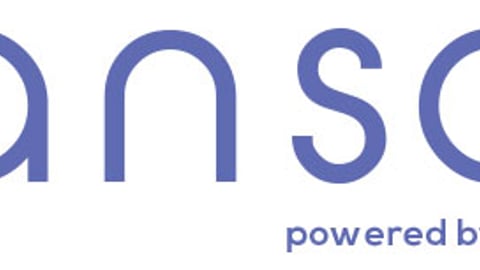 ansa Digital Marketing Metrics Tool